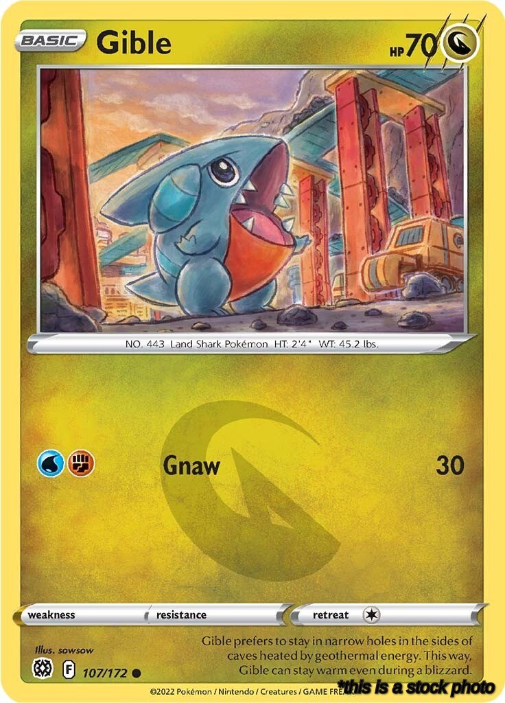 107/172 Gible Common Reverse Holofoil