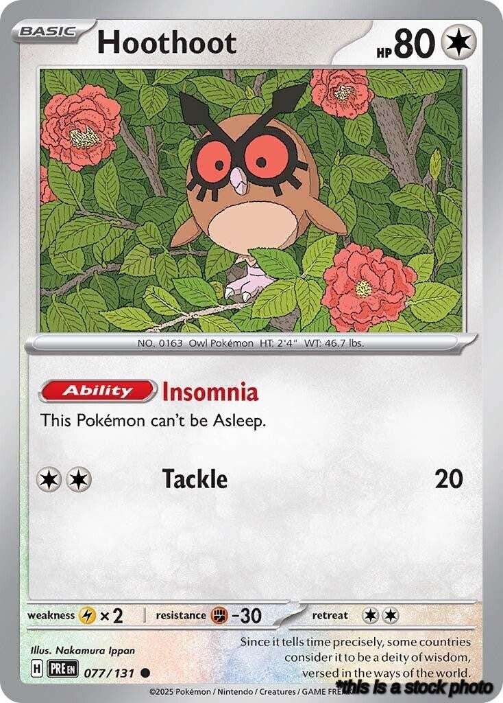 Hoothoot