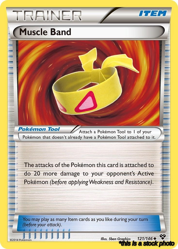 121/146 Muscle Band Uncommon Normal