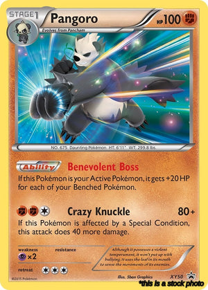 XY50 Pangoro Promo Holofoil