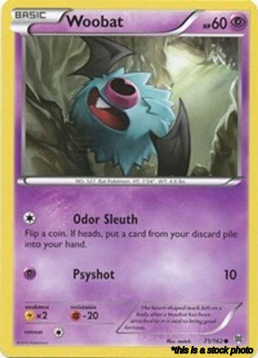 Woobat