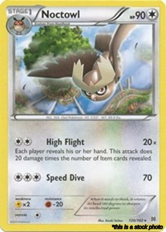 Noctowl