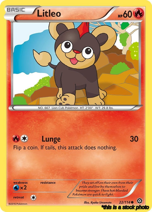 Normal Litleo [22/114 Lightly Played ]
