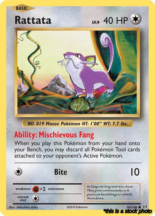 Common Rattata [66/108 Lightly Played ]