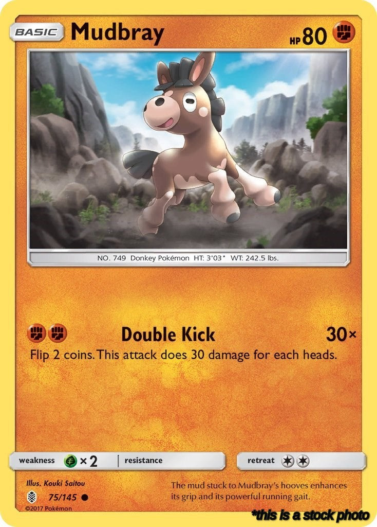 Mudbray