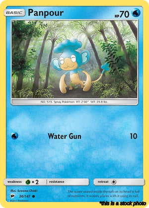 36/SM03 Panpour Common Normal