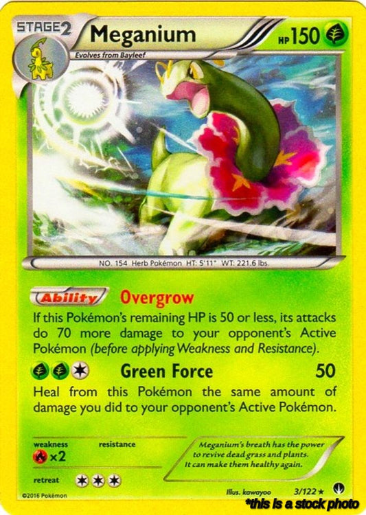 Holofoil Meganium - 3/122 (Cosmos Holo) [003/122 Lightly Played ]