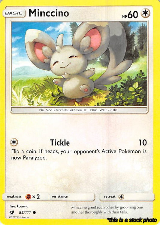Common Minccino [85/111 Near Mint ]