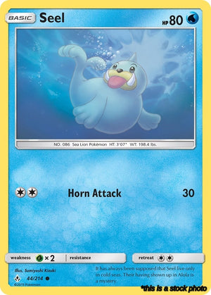 44/214 Seel Common Normal