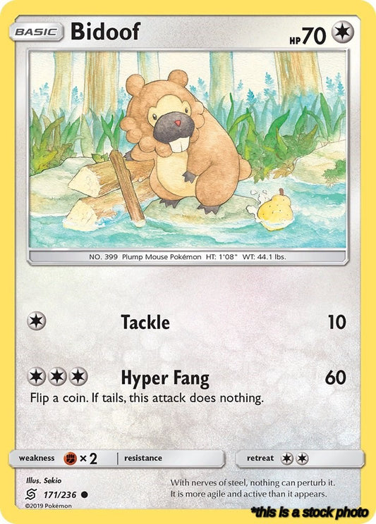 171/236 Bidoof Common Normal