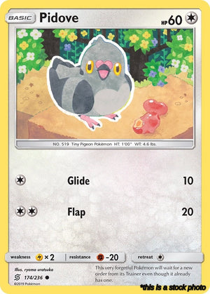 174/236 Pidove Common Reverse Holofoil