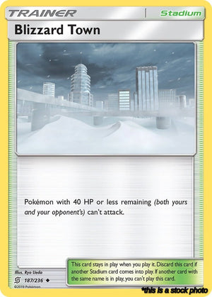 187/236 Blizzard Town Uncommon Normal