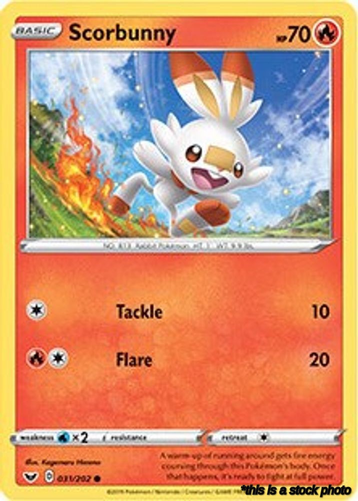Scorbunny - 031/202 (Premium Collection)