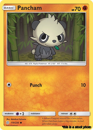 119/236 Pancham Common Reverse Holofoil