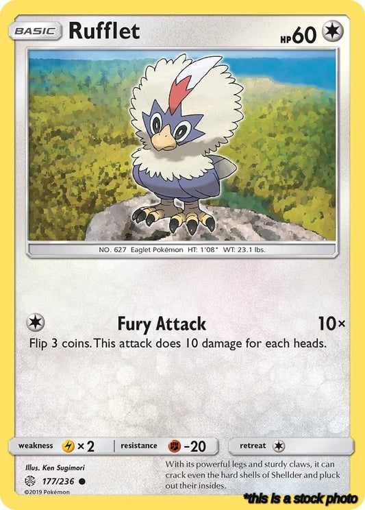 Common Rufflet [177/236 Lightly Played ]