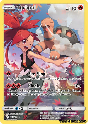 Holofoil Torkoal (Secret) [237/236 Near Mint ]