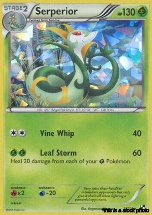 Holofoil Serperior - 5/114 (Cracked Ice Holo) [005/114 Near Mint ]