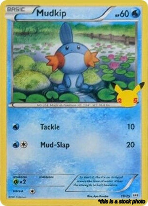 019/025 Mudkip Promo Normal