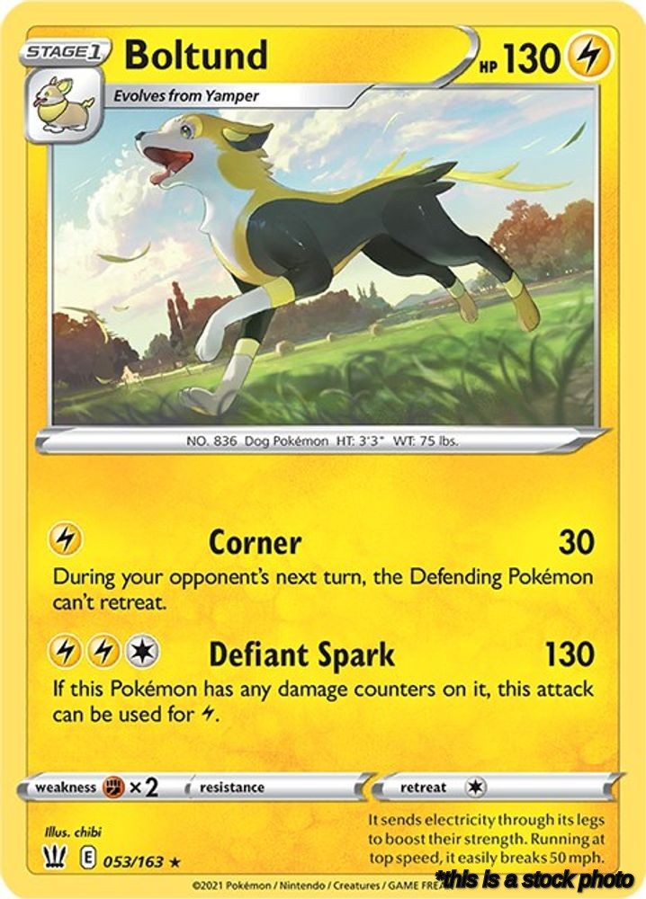 Rare Boltund [053/163 Near Mint ]
