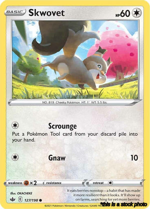 127/198 Skwovet Common Normal