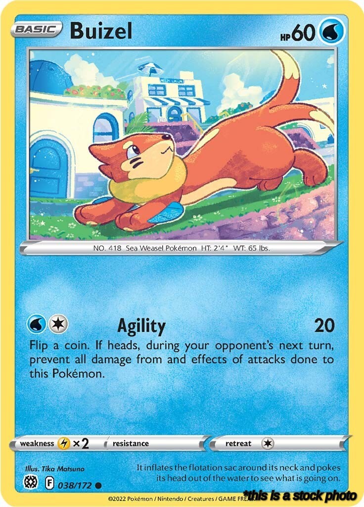 Buizel