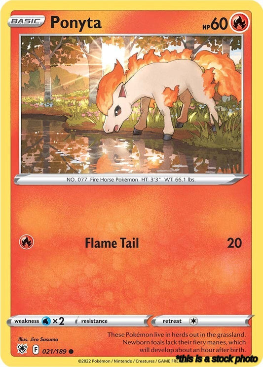 Normal Ponyta [021/189 Near Mint ]