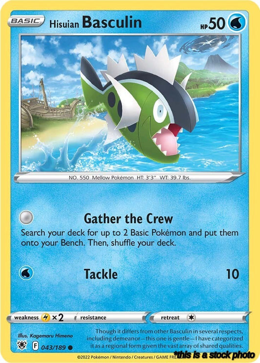 Common Hisuian Basculin [043/189 Near Mint ]