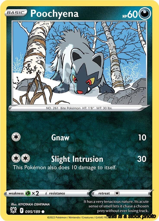 Normal Poochyena [095/189 Lightly Played ]