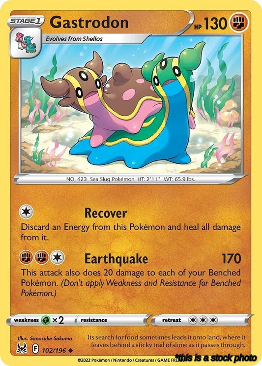 Gastrodon