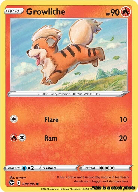 Common Growlithe [019/195 Near Mint ]