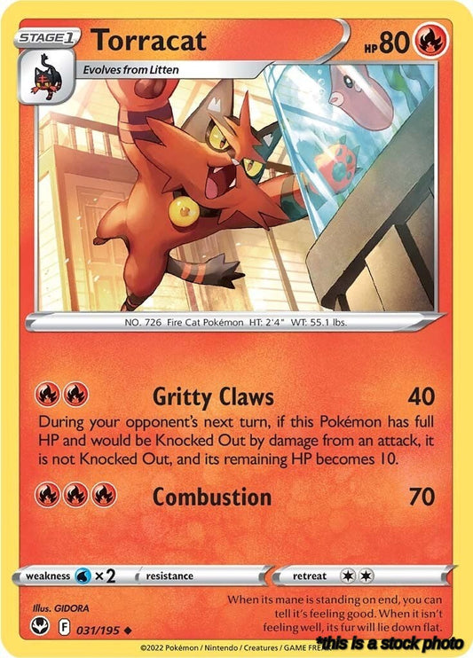 Uncommon Torracat [031/195 Lightly Played ]