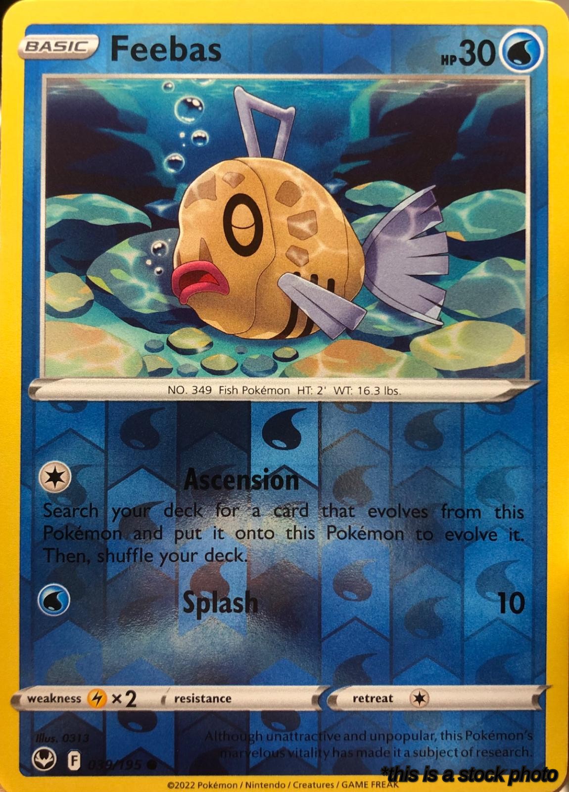 039/195 Feebas Common Reverse Holofoil