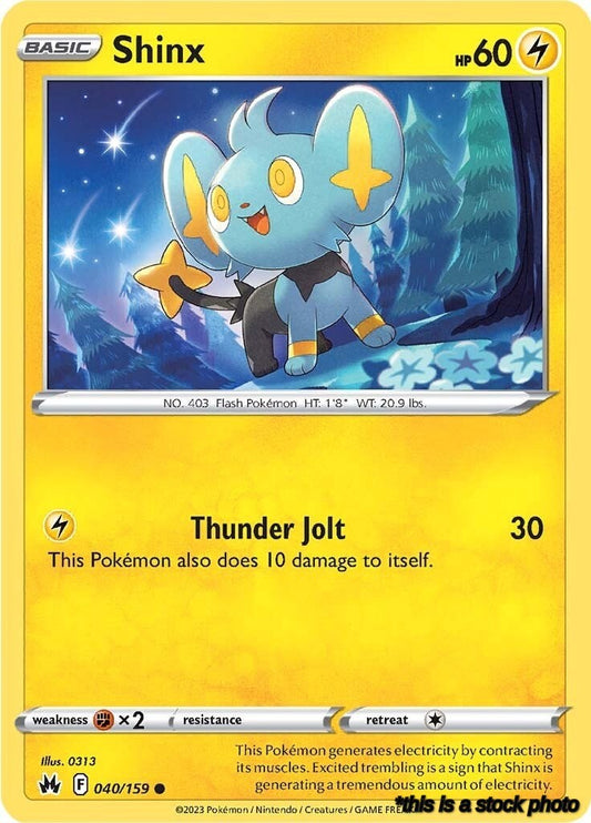 Shinx (40)