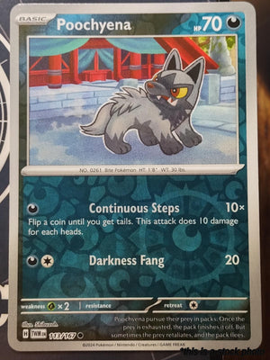 113/167 Poochyena Common Reverse Holofoil