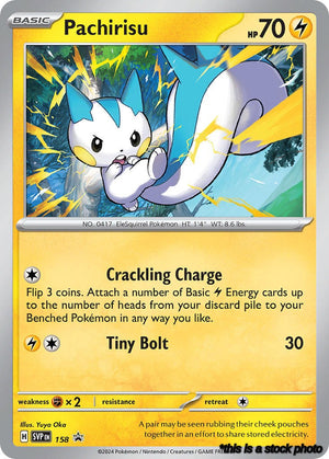 158 Pachirisu Promo Holofoil