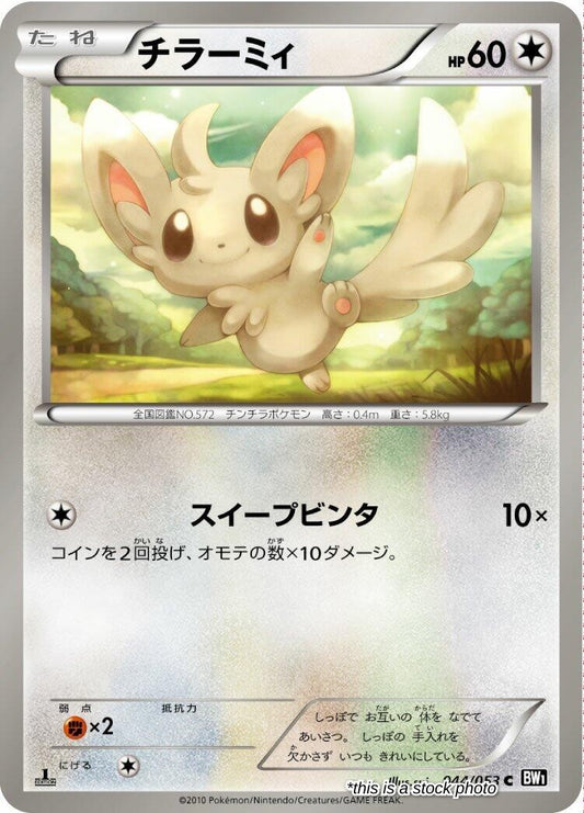 Minccino