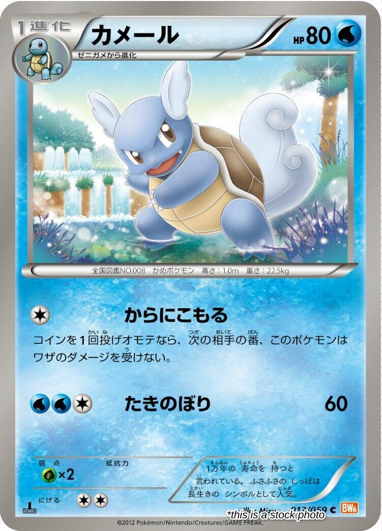 Japanese 013/059 Wartortle Common