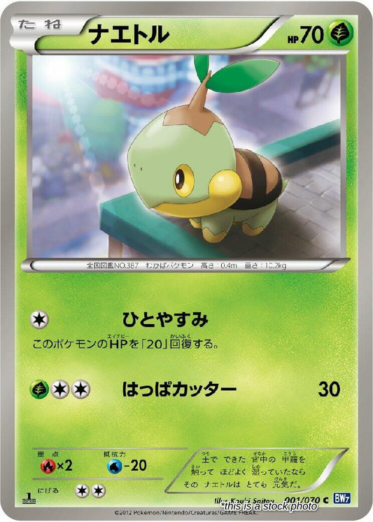 Turtwig