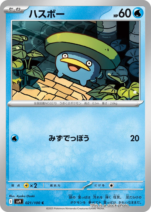 Lotad