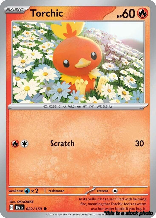 Torchic
