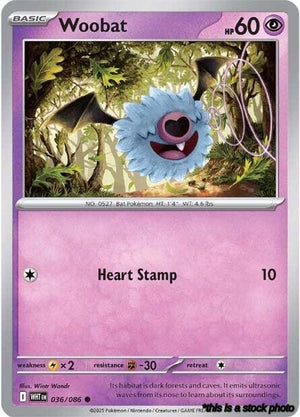 036/WHT Woobat Common Normal