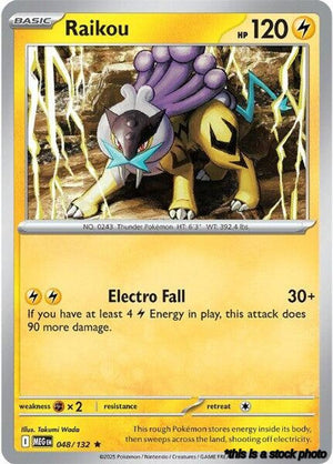 Holofoil Raikou [048/132 Near Mint ]