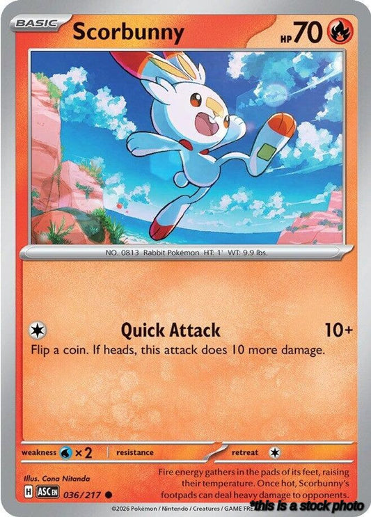 Scorbunny - 036/217