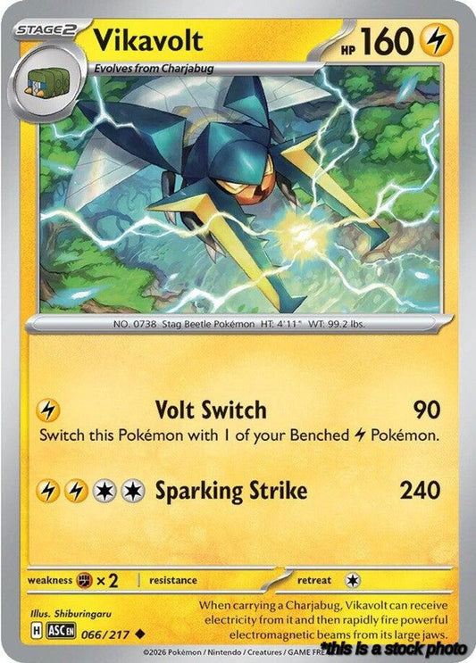 Vikavolt - 066/217