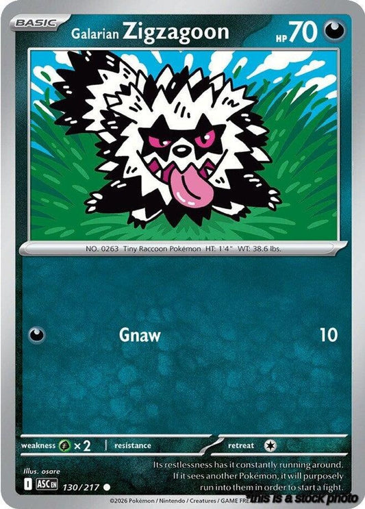 Galarian Zigzagoon