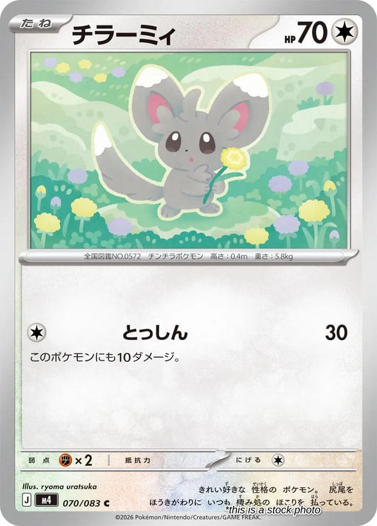 Minccino