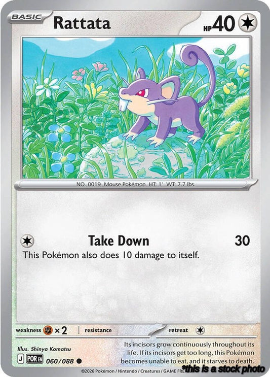 Common Rattata [060/088 Near Mint ]