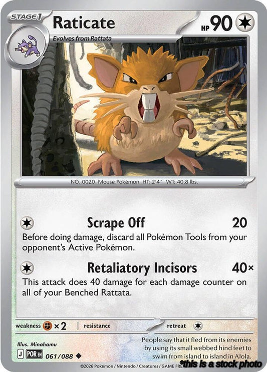 Raticate - 061/088