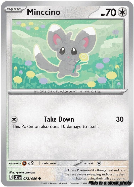Common Minccino [072/086 Near Mint ]