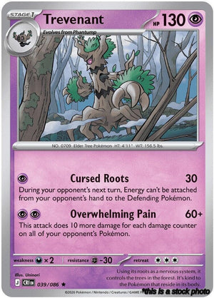 039/086 Trevenant Rare Holofoil